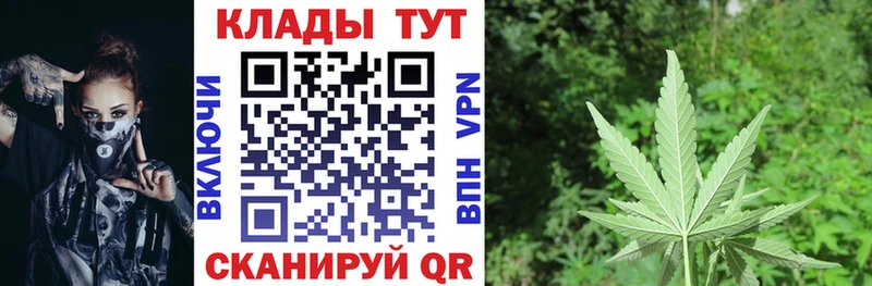 Где купить наркотики Кашин АМФЕТАМИН  МЕФ  ГАШ  Каннабис  COCAIN 
