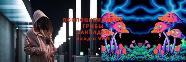 спайс Карпинск
