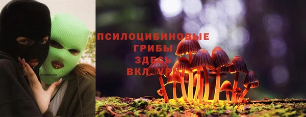 mix Киренск