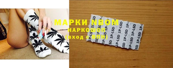 стаф Кинешма