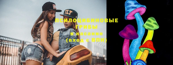 дживик Касимов