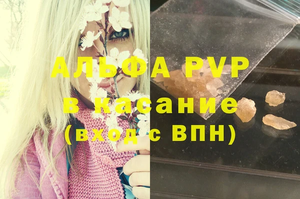 стаф Кинешма