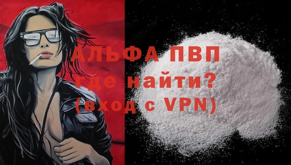стаф Кинешма