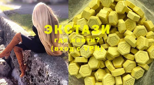дживик Касимов
