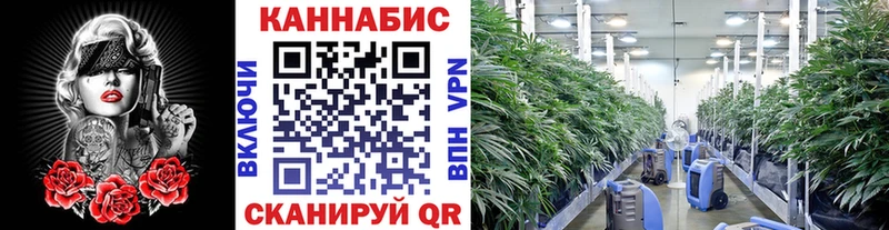 где можно купить   Кашин  blacksprut   shop формула  Конопля MAZAR 